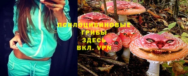 apvp Армянск