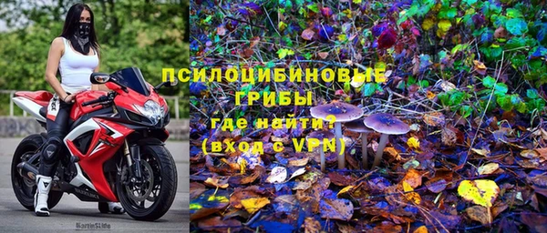 каннабис Арсеньев